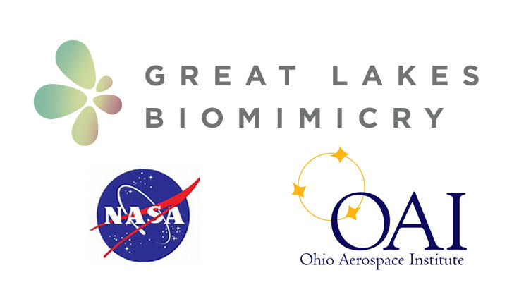 Conference to explore biomimicry in the aerospace industry