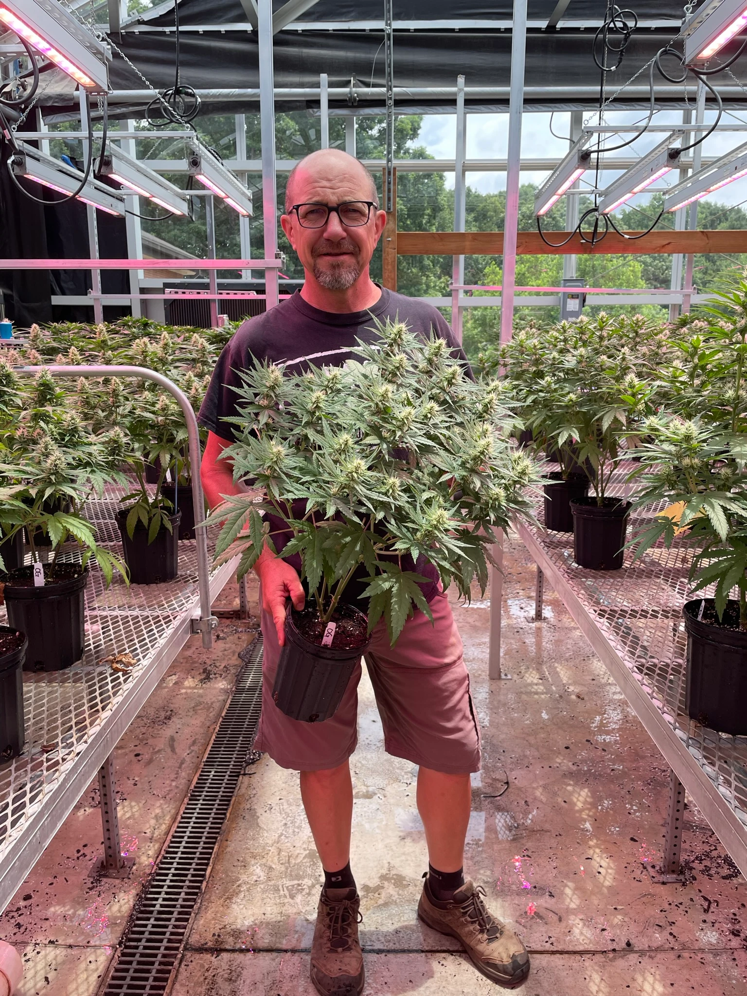 Jim Faust, Professor of Floriculture Physiology